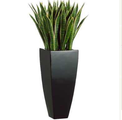 (image for) Tall Green Variegated Artificial Plant GRWP7757 TEXT_CLOSE_WINDOW