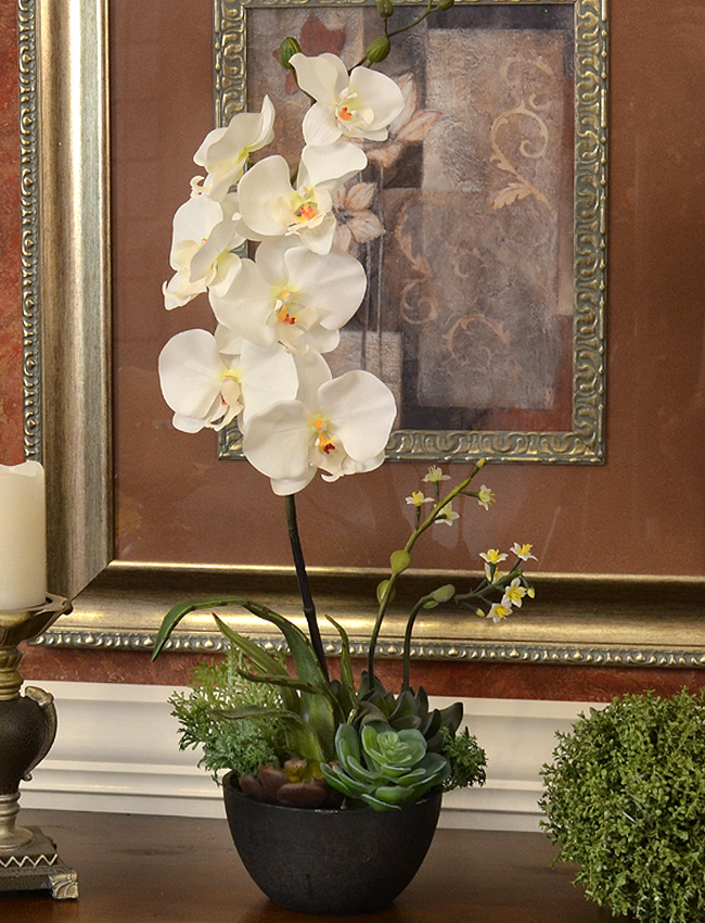 (image for) Orchid and Succulent Silk Floral Design 0159 TEXT_CLOSE_WINDOW