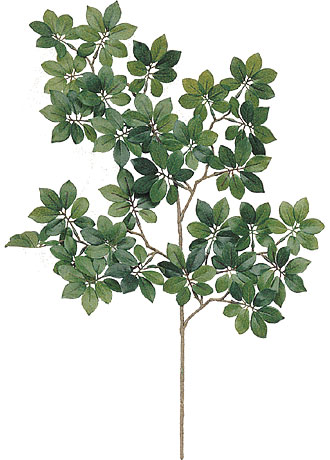 (image for) 22" BONSAI FICUS- S10812XX (2 piece min) TEXT_CLOSE_WINDOW