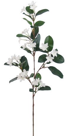 (image for) 28" STEPHANOTIS SPRAY- S15047XX (6 piece min) TEXT_CLOSE_WINDOW