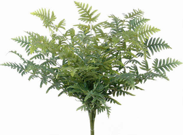 (image for) 34" ANTHERIUM FERN BUSH- S827XX TEXT_CLOSE_WINDOW