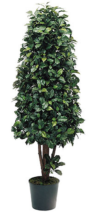 (image for) 5' Ficus Cone - Silk Topiary Tree TP-15307