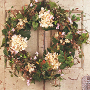 (image for) Cream Hydrangea Wreath WS2105 TEXT_CLOSE_WINDOW