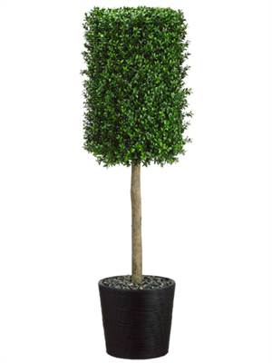 (image for) 53" Boxwood Topiary in Black Bamboo Planter